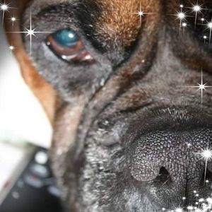 Meet your Posher, Gretchen